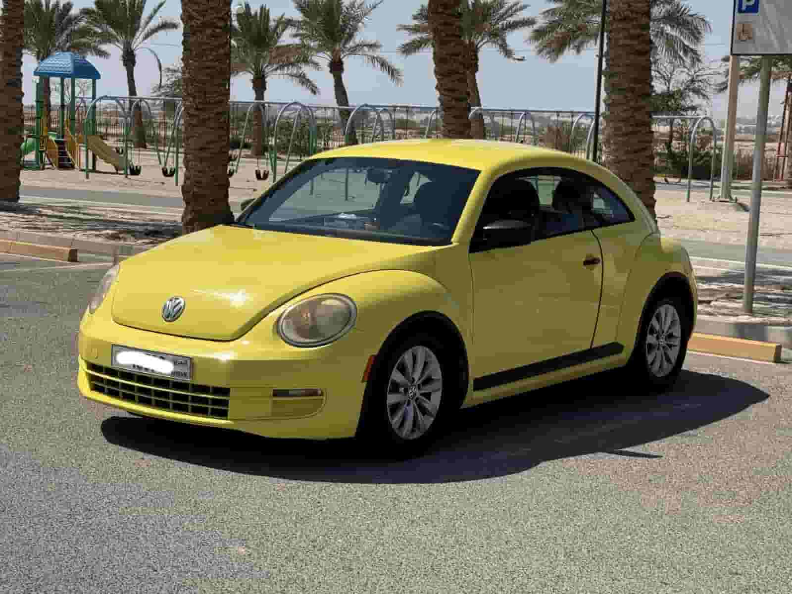 فولكس واجن بيتل 2013