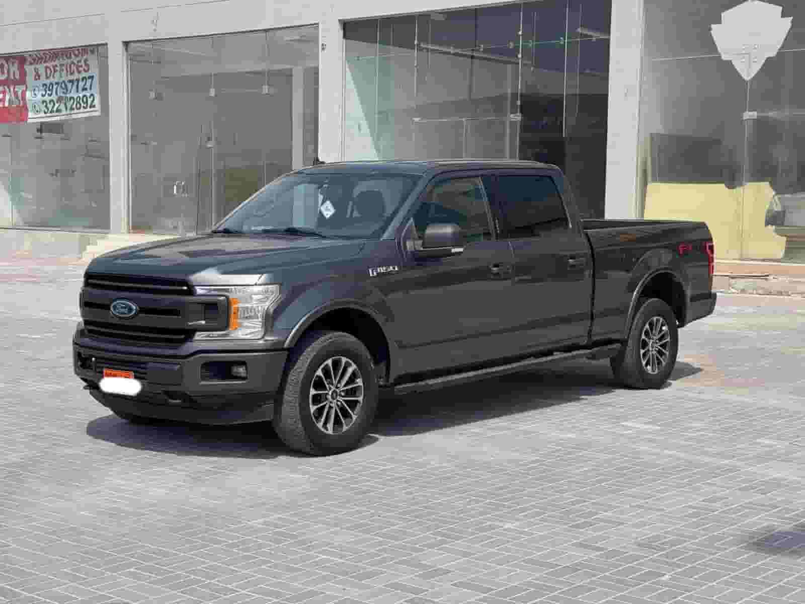 Ford F-150 / 2019 (Grey)