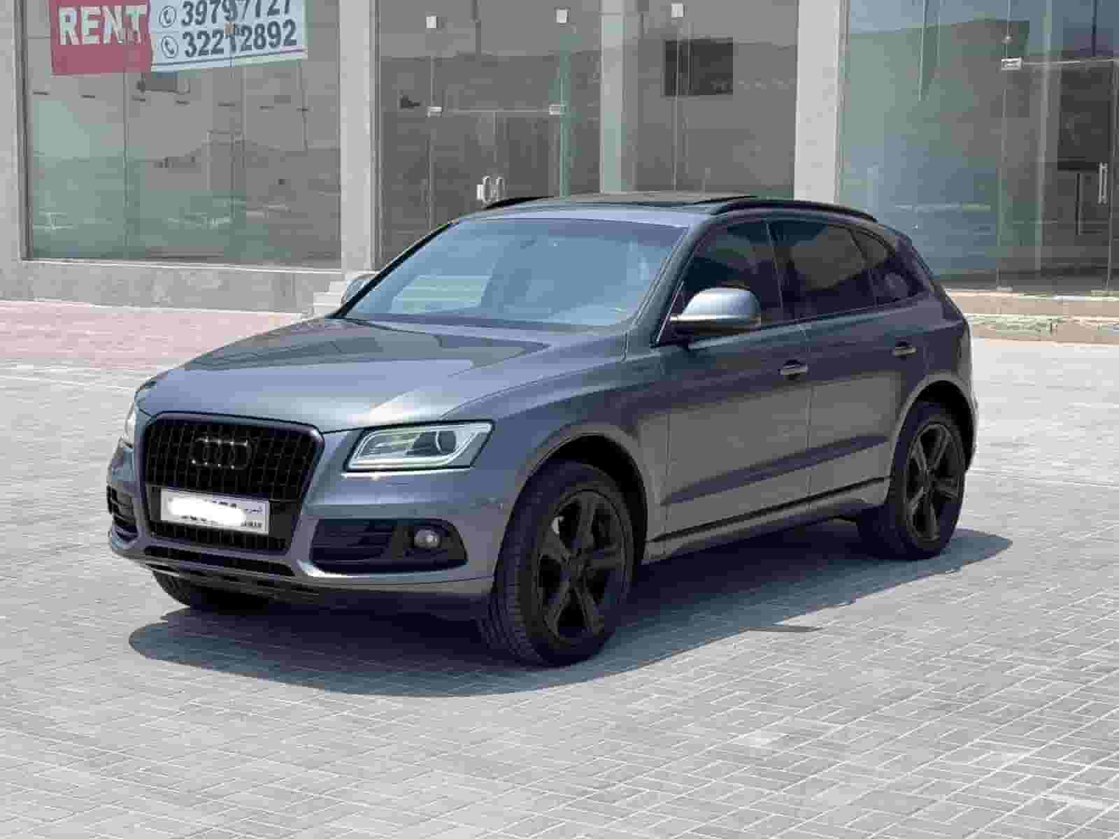 Audi Q5/2015 (Grey)