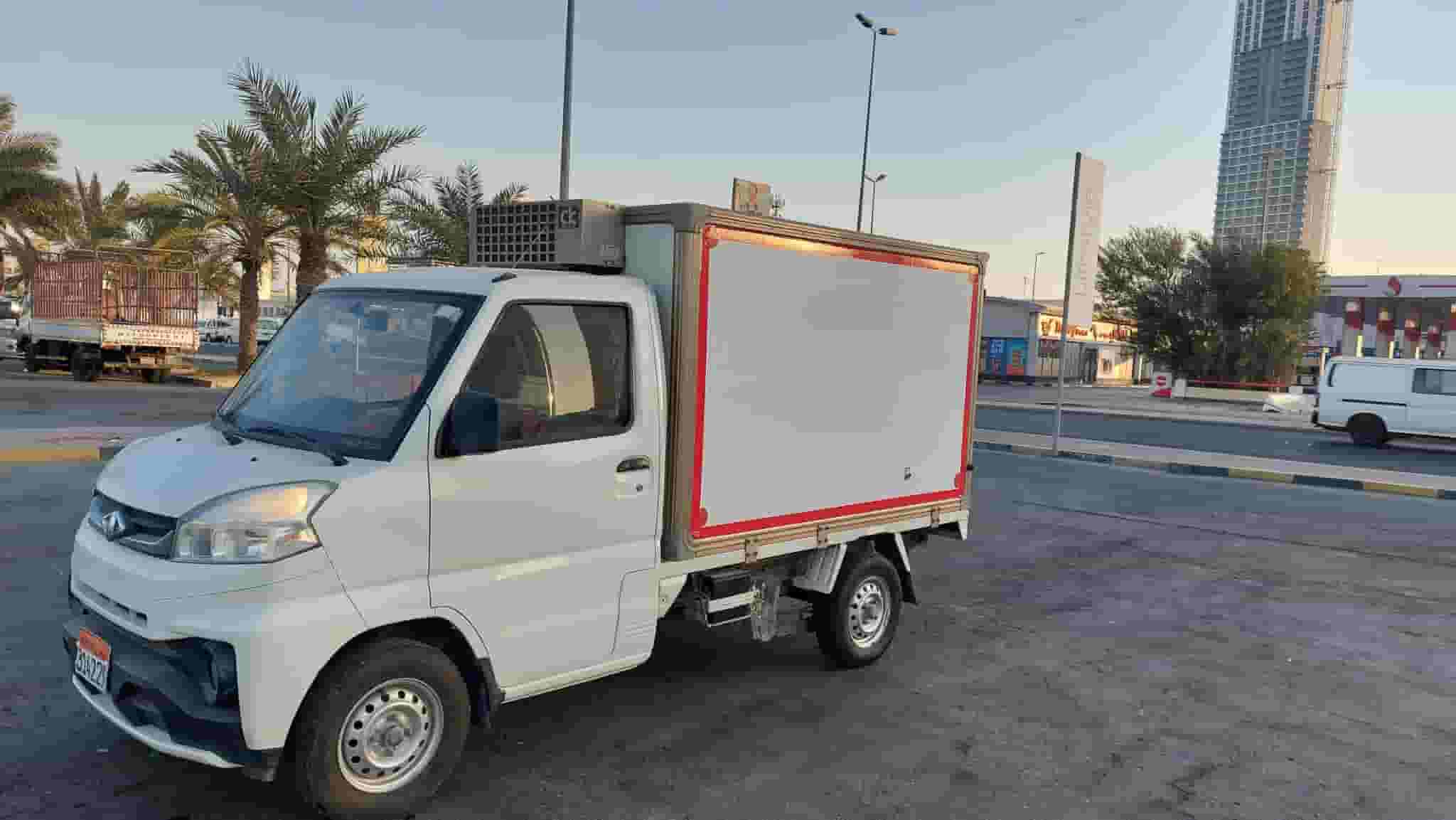 2017 CRIZAR TRUCK