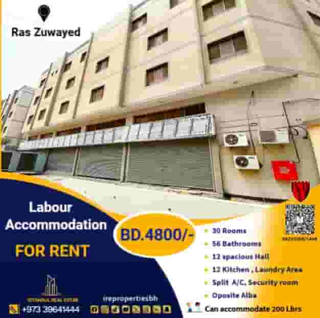 Approved housing for 200 people for rent in Ras Zuwaid 