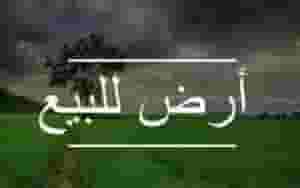 للايجار ارض في مدينة زايد رقم 1