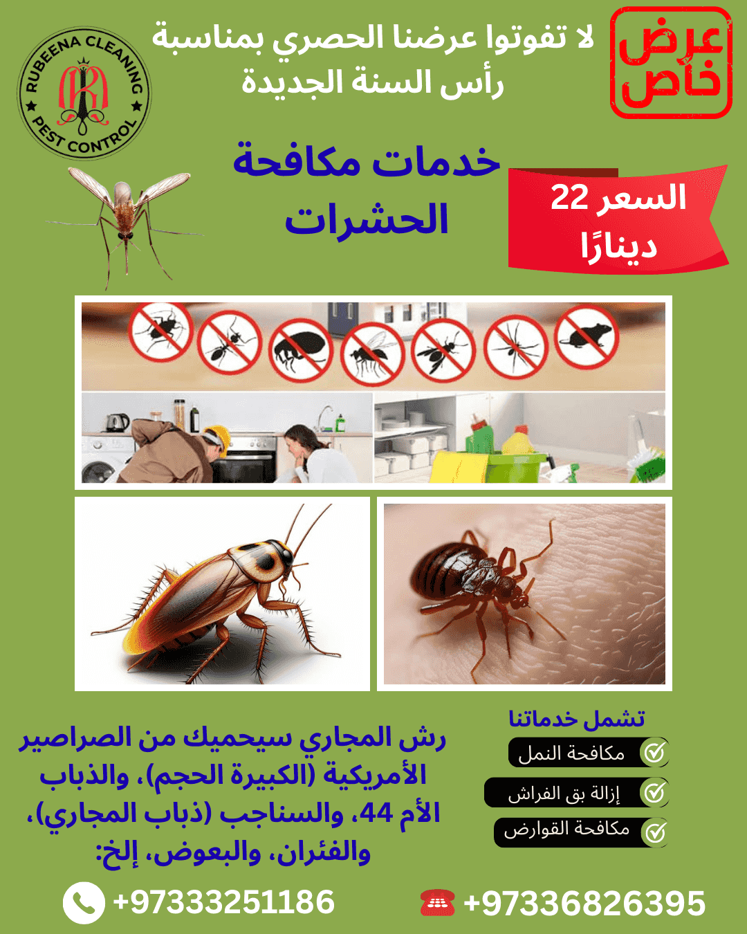 شركة روبينا لمكافحة الحشرات