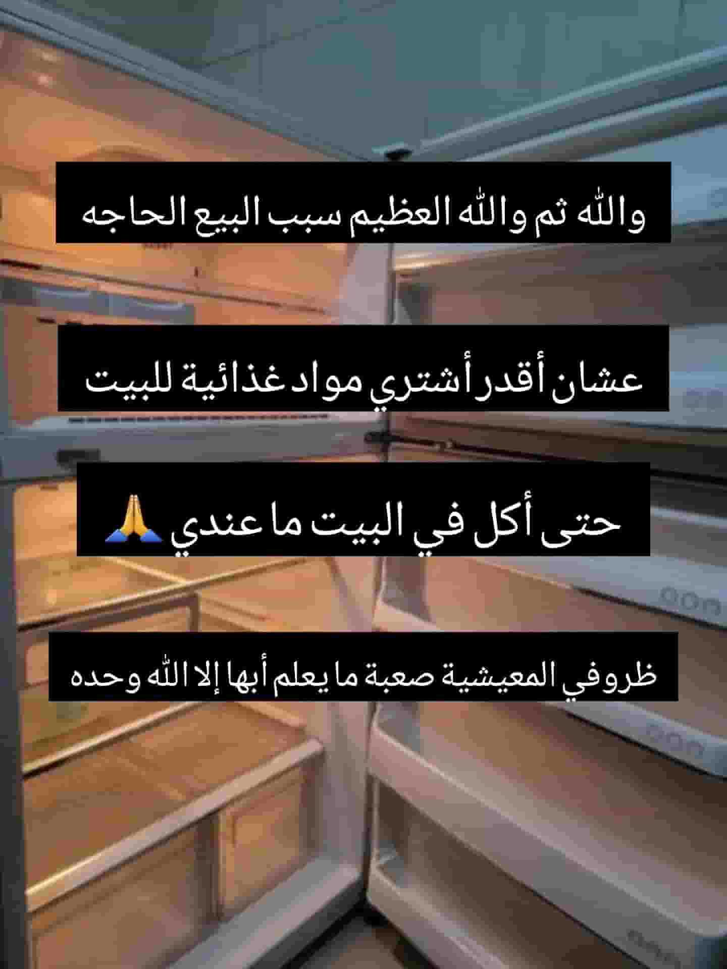 For sale a bag for transporting food and drinks to keep them hot or cold 