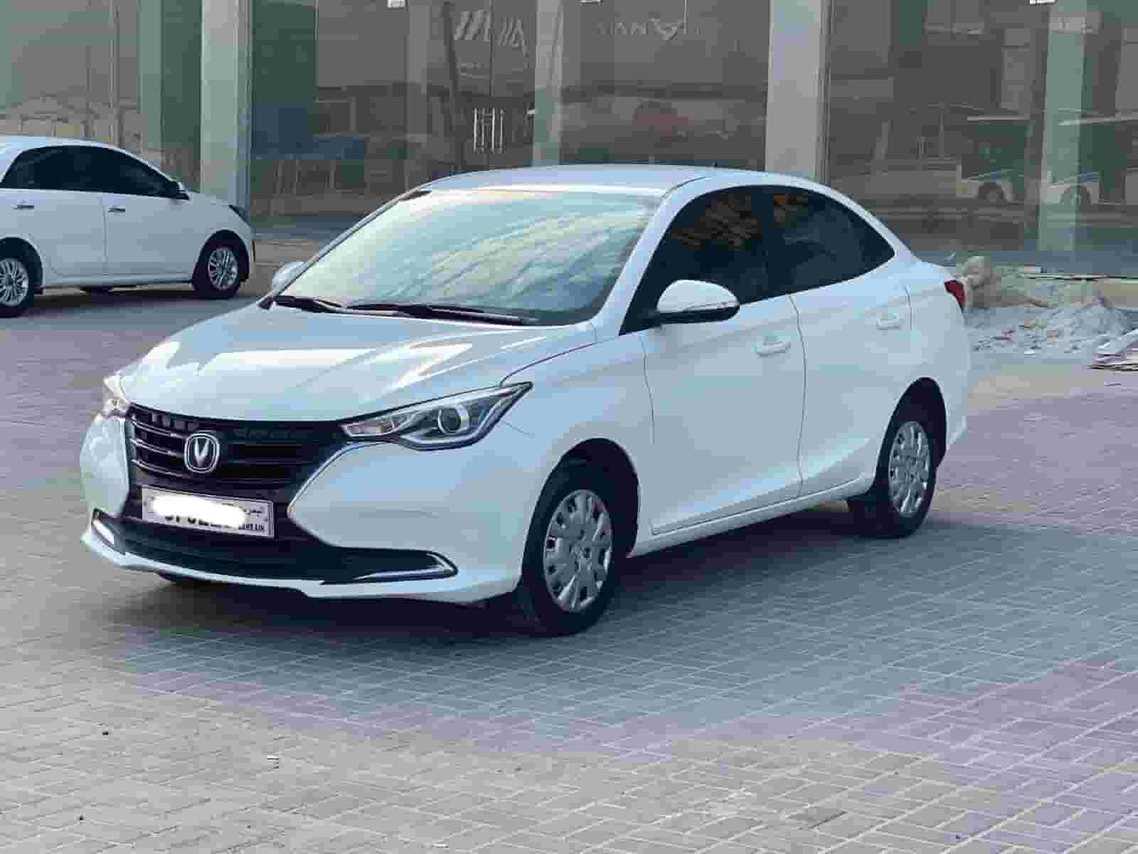 شنجان ألسفين 2024 