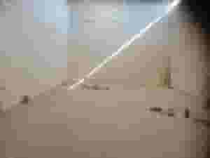 Commercial workshop for rent in Hamala A commercial workshop for rent in Hamala