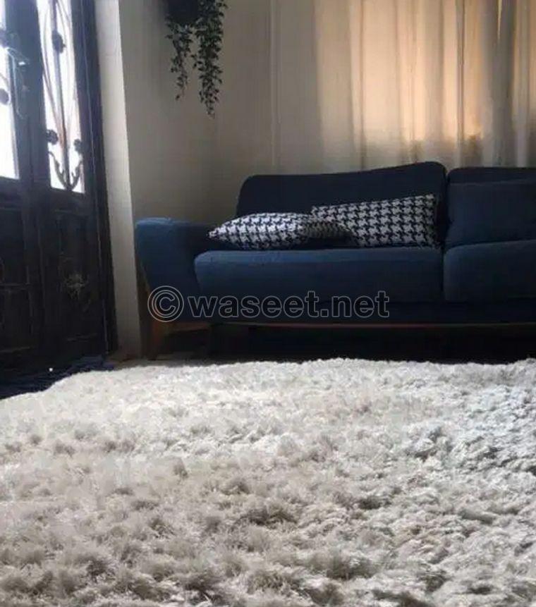 Fluffy carpet 0