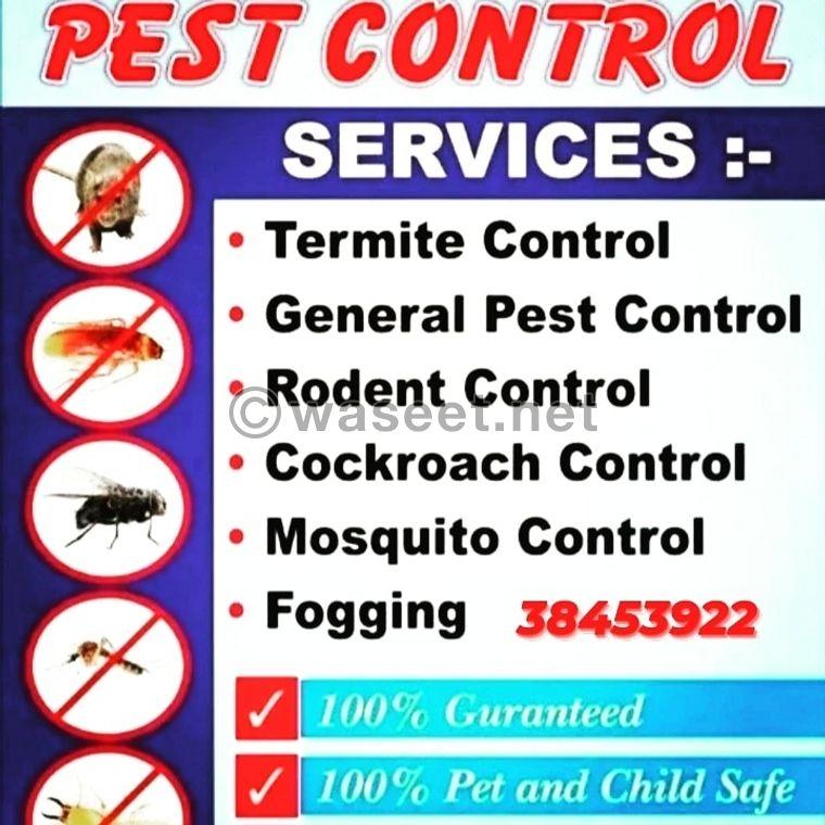 Cleaning, pest control, shampoo and carpet cleaning  2