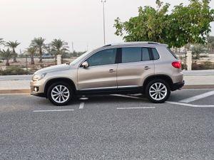 Volkswagen Tiguan 2013 