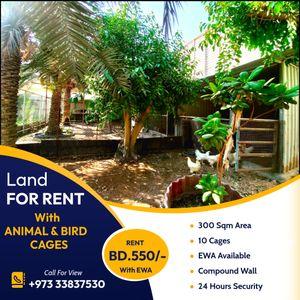 Garden land for rent with cages for animals and birds in Jablat Habashi