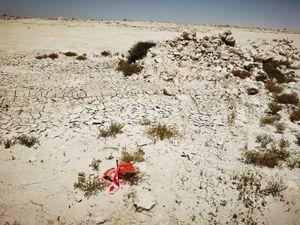 Land for sale in El Ghaina 