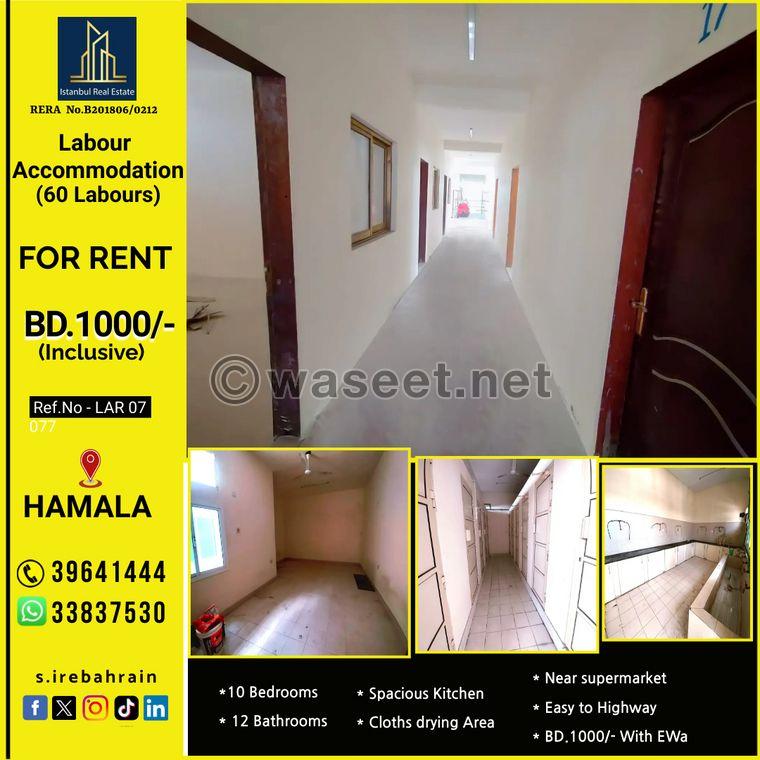 Labor accommodation for 60 people for rent in Hamala 0