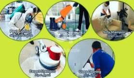 Pest control services 0