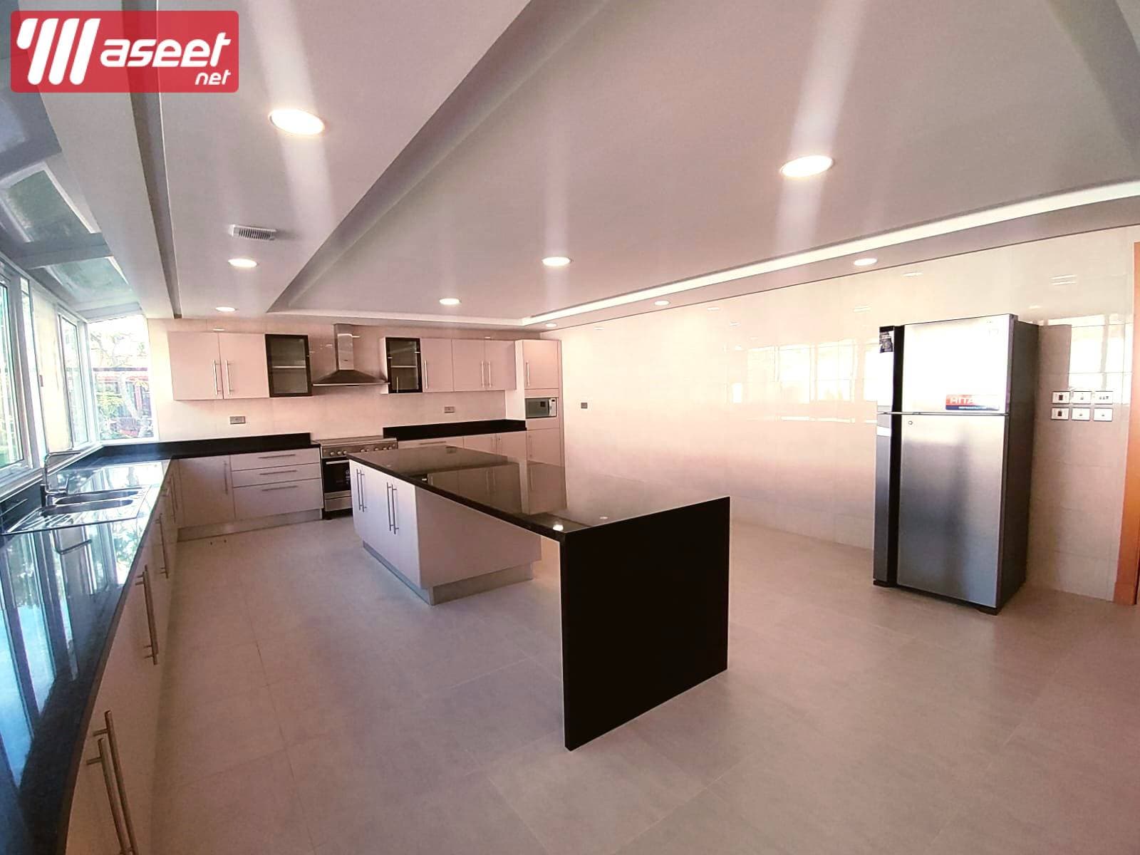 beautiful villa with garden for rent  3