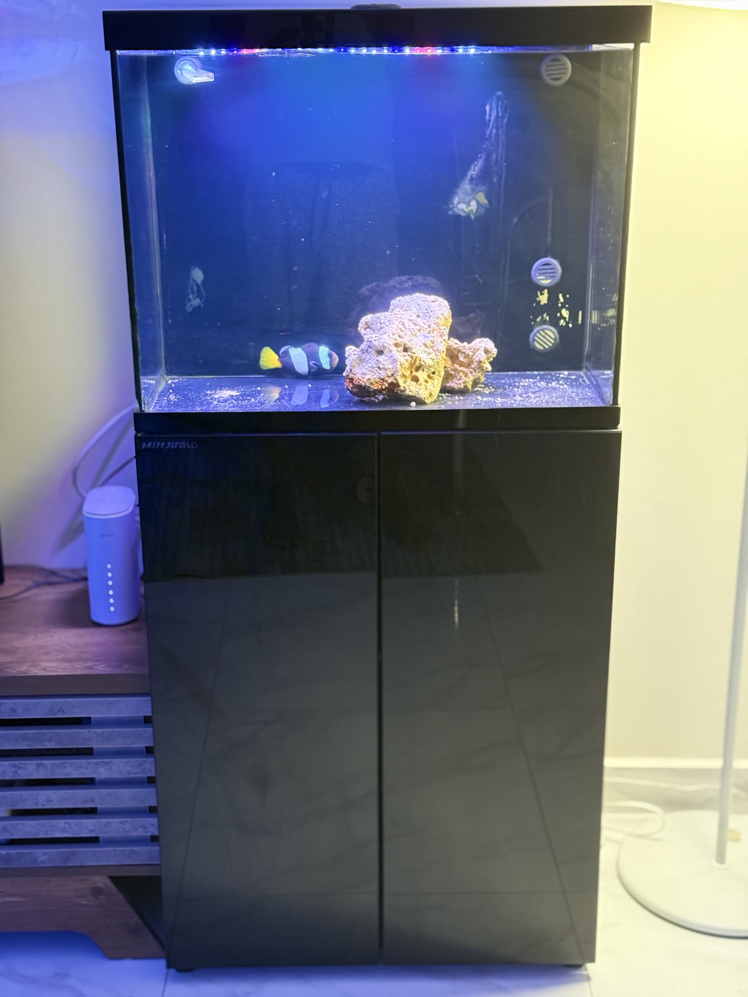 Marine aquarium for sale 60”x50x40 0