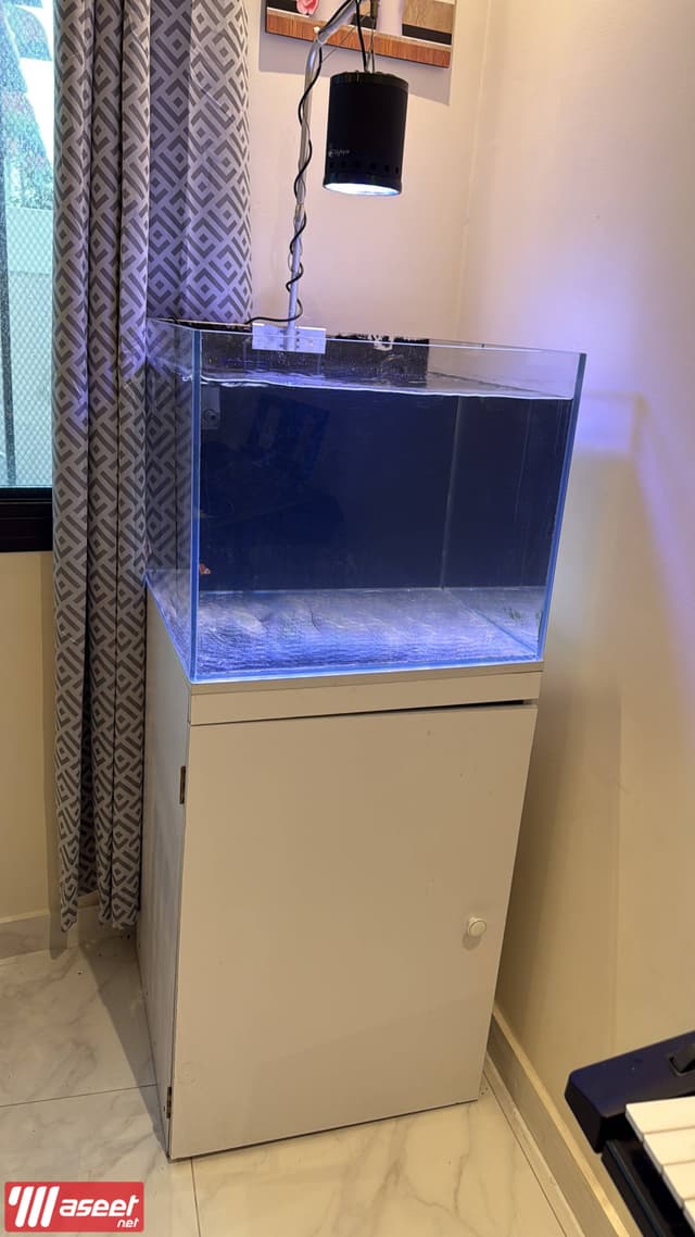 Marine aquarium for sale 60”x50x40