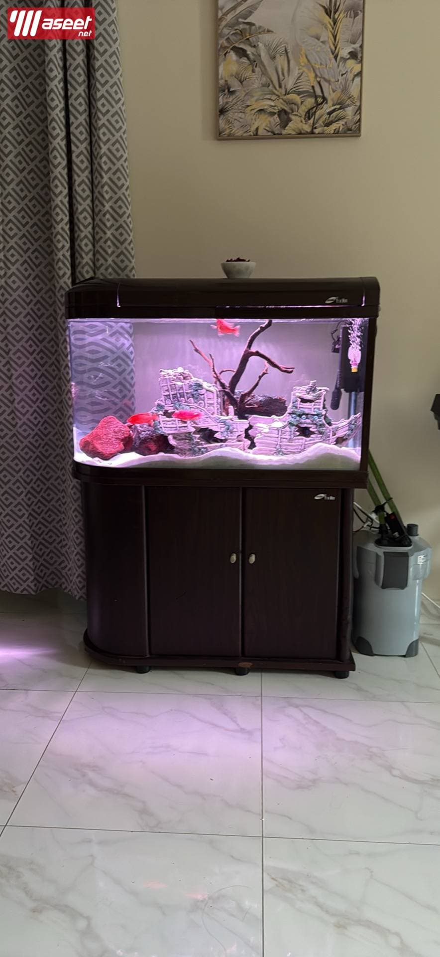 Marine aquarium for sale 60”x50x40 2