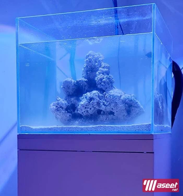 Marine aquarium for sale 60”x50x40 3