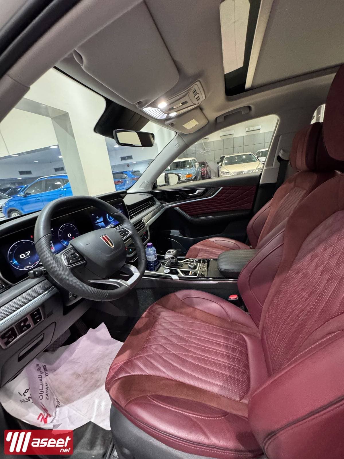 Hongqi HS5/2023  1