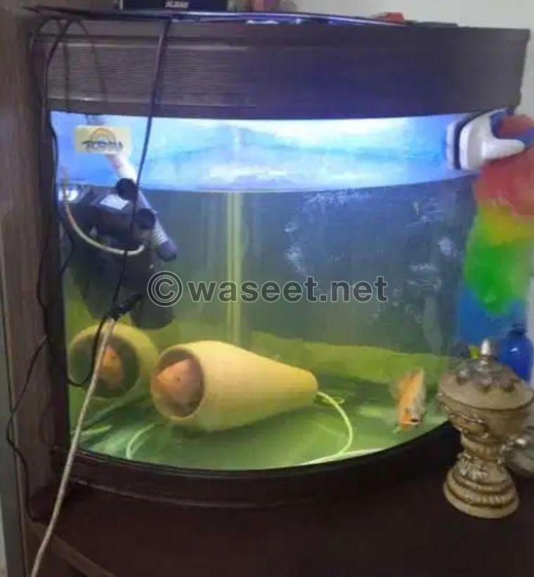 fish tank for sale 0