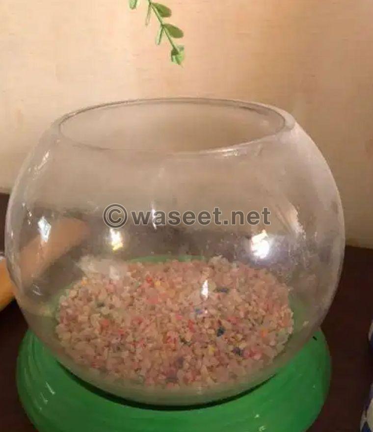Fish bowl for sale 0