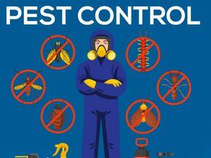 Pest control services 