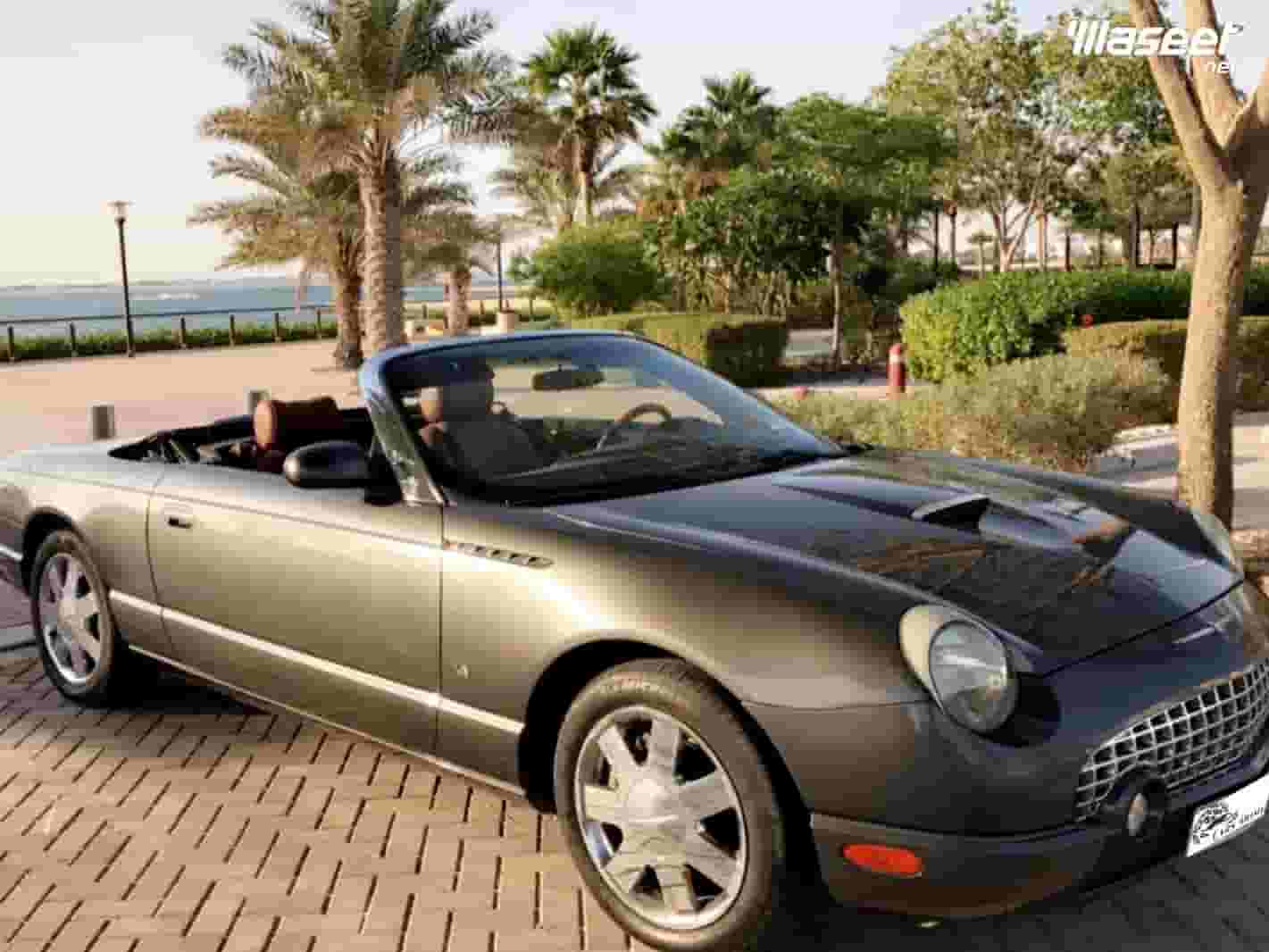 Ford Thunderbird 2003 Ford Thunderbird 2003