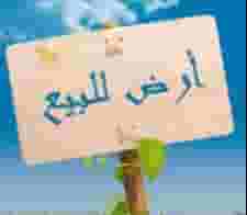 للبيع ارض في سند للبيع ارض في سند
