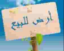 Land for sale in Malkiyah 156782 m Land for sale in Malkiyah 156782 m